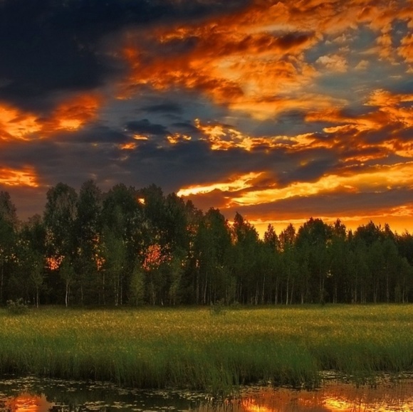 Meet your Posher, Misty - Picture 1 of 1